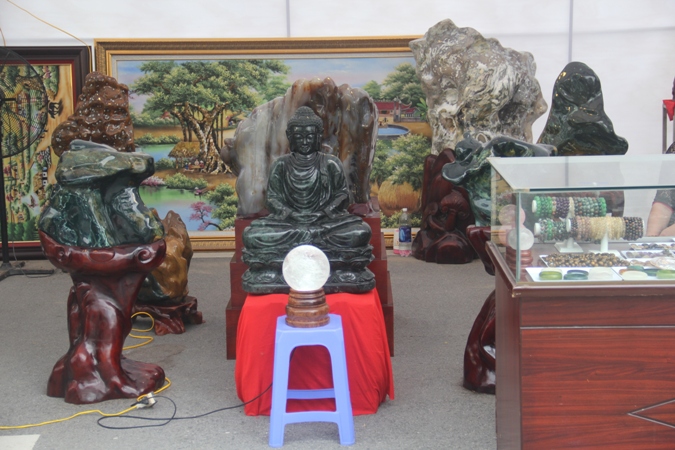 Festival sinh vật cảnh Thủ đô lần thứ nhất ảnh 11